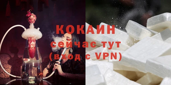 тгк Шали