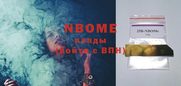прущие грибы Костерёво