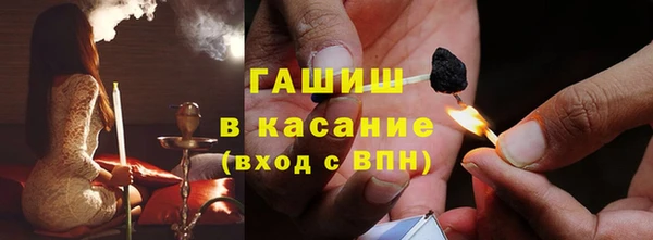 прущие грибы Костерёво