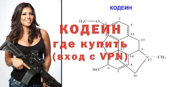 прущие грибы Костерёво