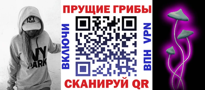 Галлюциногенные грибы прущие грибы  MEGA как зайти  Нижняя Тура 
